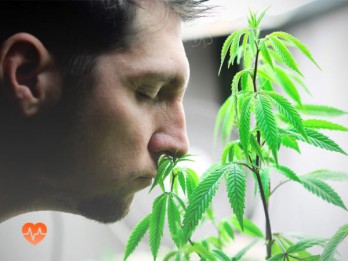 Детоксикация от марихуаны в Клинцах